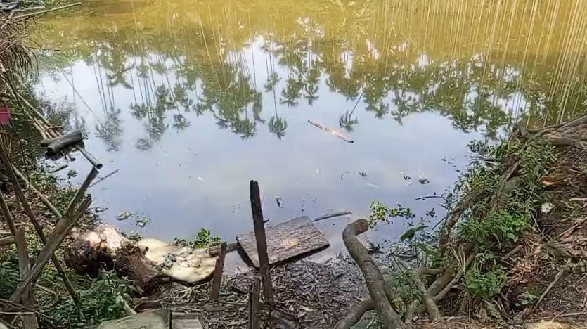 রায়পুরে রাতে আঁধারে চার লাখ টাকার পুকুরের মাছ লুটের অভিযোগ
